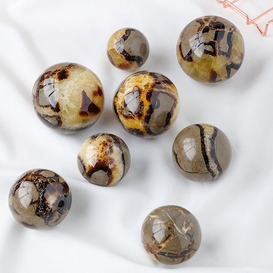 Septarian Sphere-live