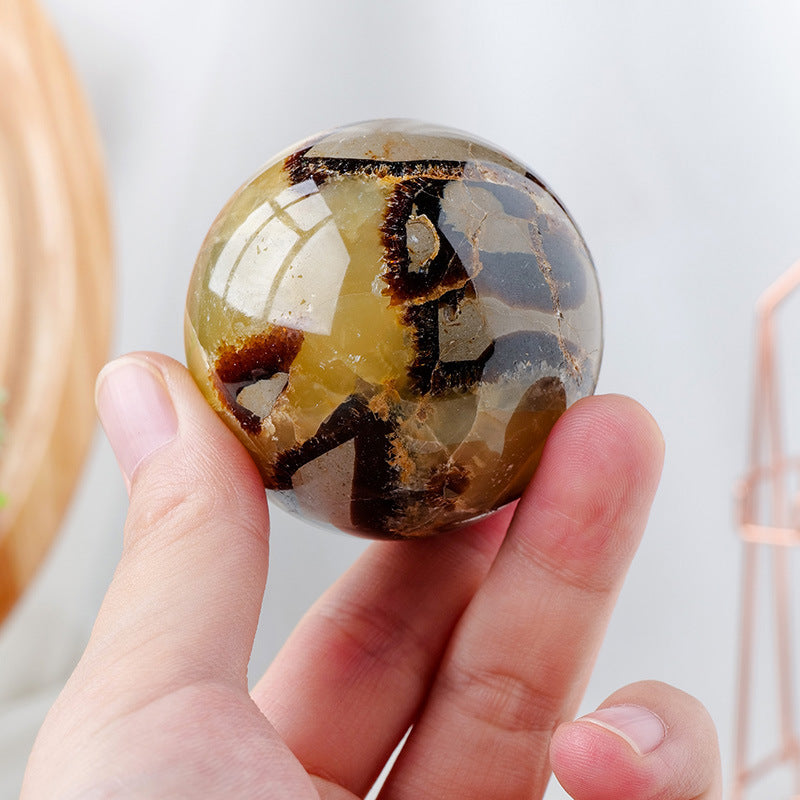 Septarian Sphere-live
