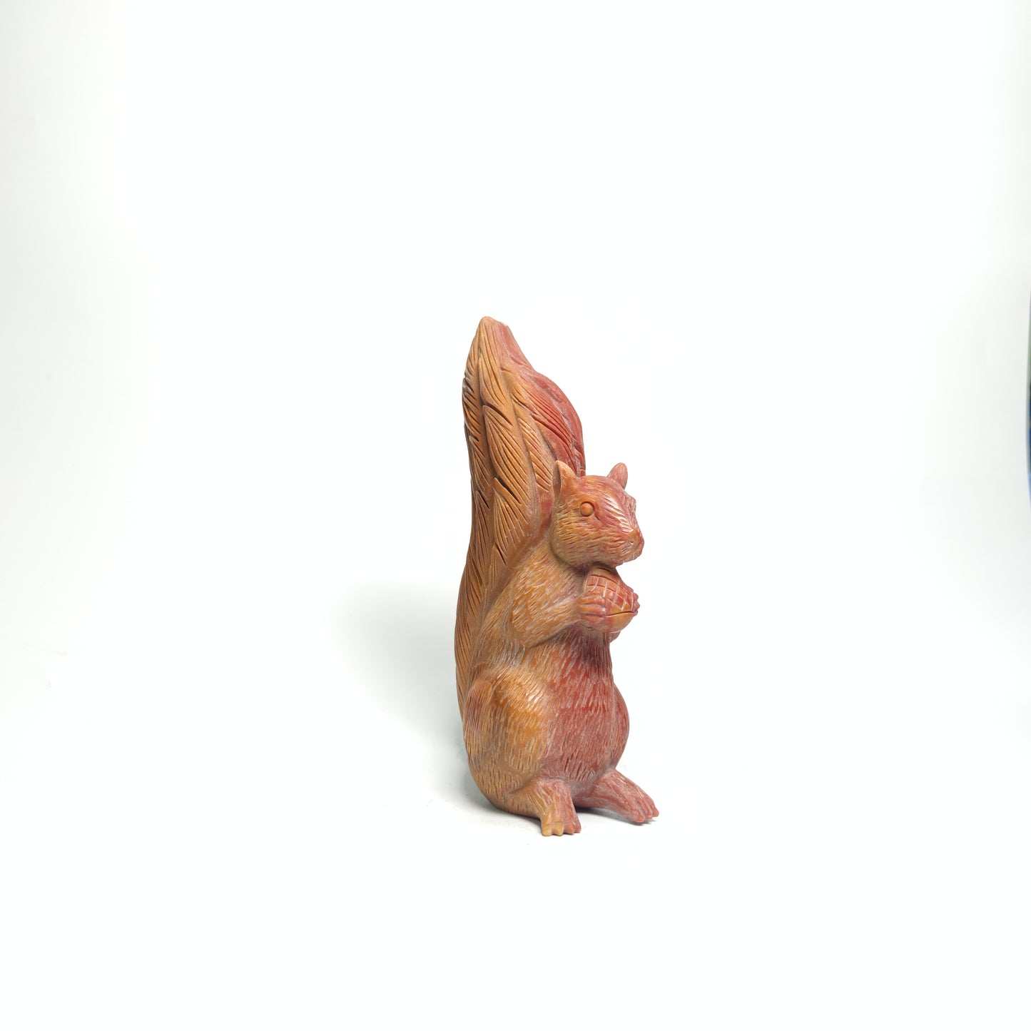 Jade  squirrel