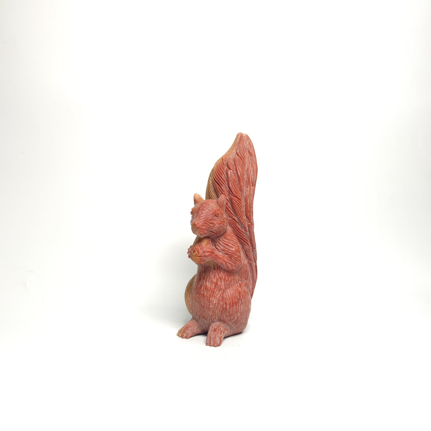 Jade  squirrel