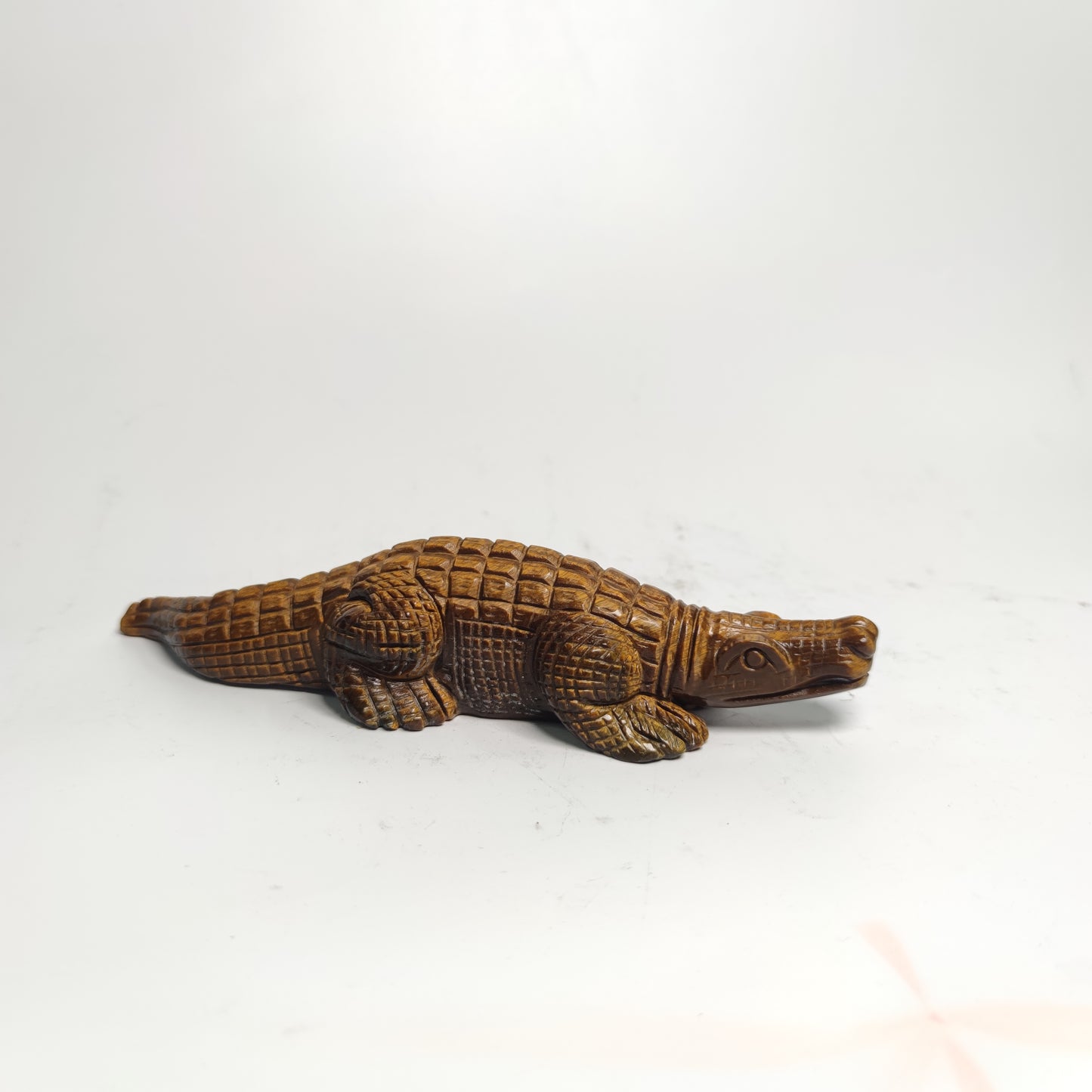 Tiger eye  Alligator