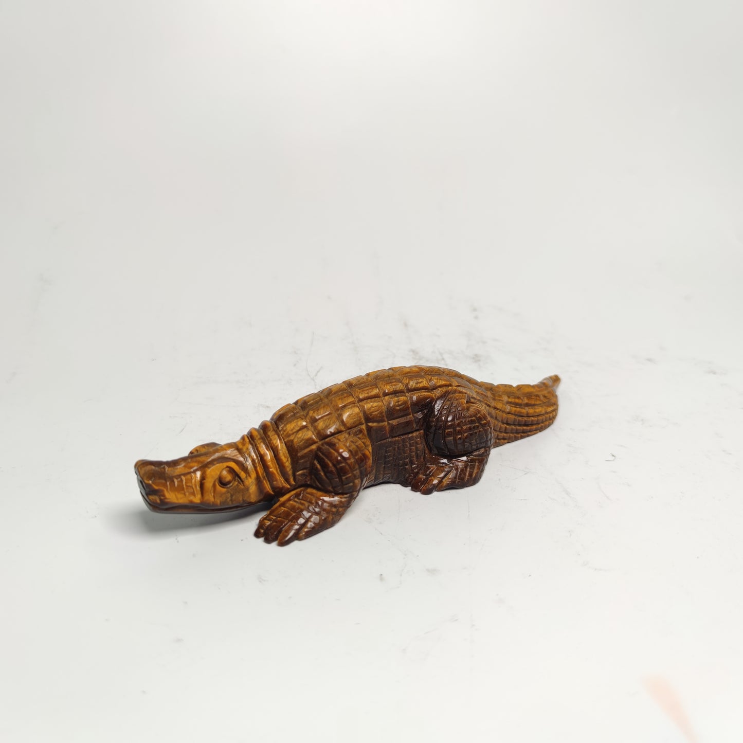 Tiger eye  Alligator