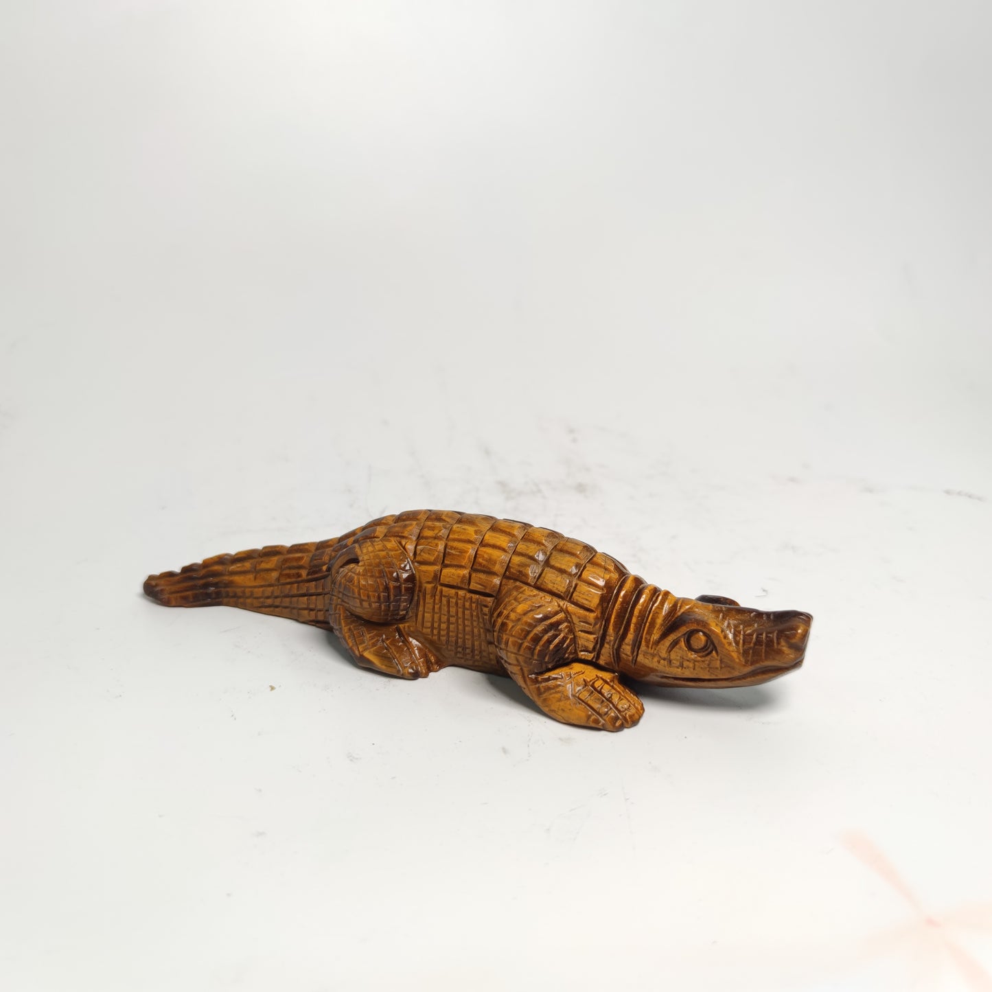 Tiger eye  Alligator