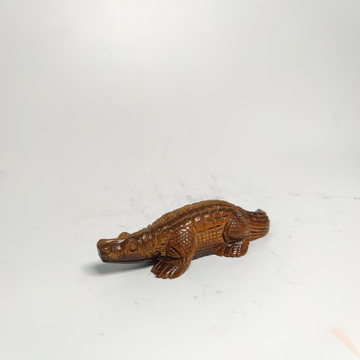 Tiger eye  Alligator
