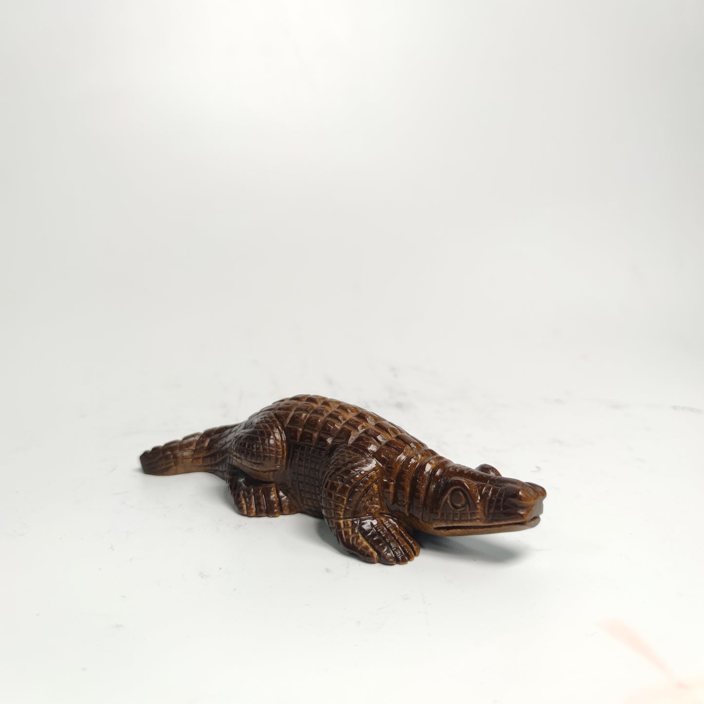 Tiger eye  Alligator
