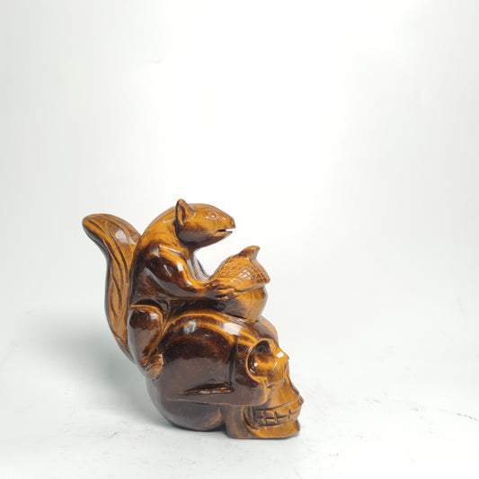 Tiger's Eye Squirrel standing on Skull