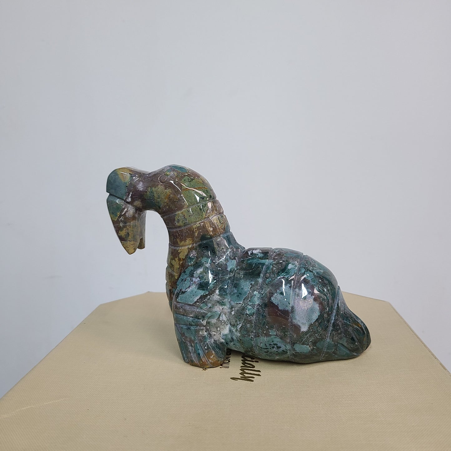 Ocean Jasper Walrus
