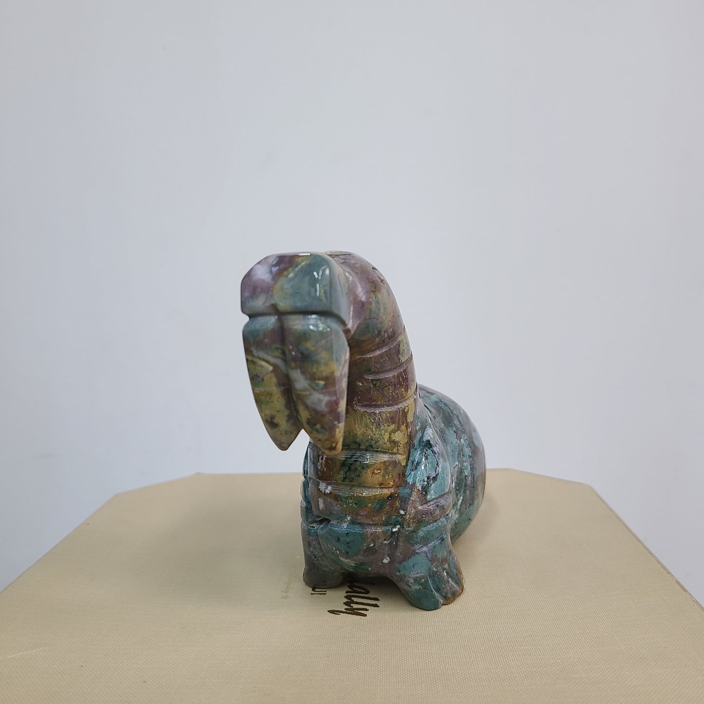 Ocean Jasper Walrus